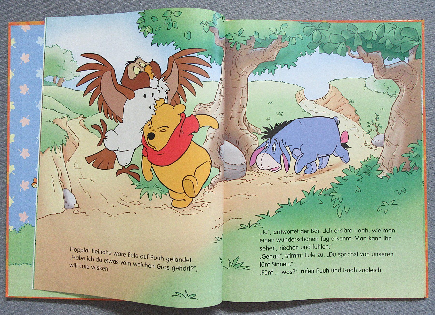 Libri: Winnie Puuh - Ein wunderschöner Tag – Usato da Auenstein venduto da Padabimbim 2
