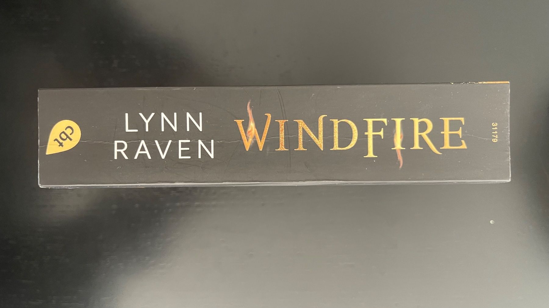 Libri: Windfire - Lynn Raven – Usato da Luzern venduto da Mcleon 2