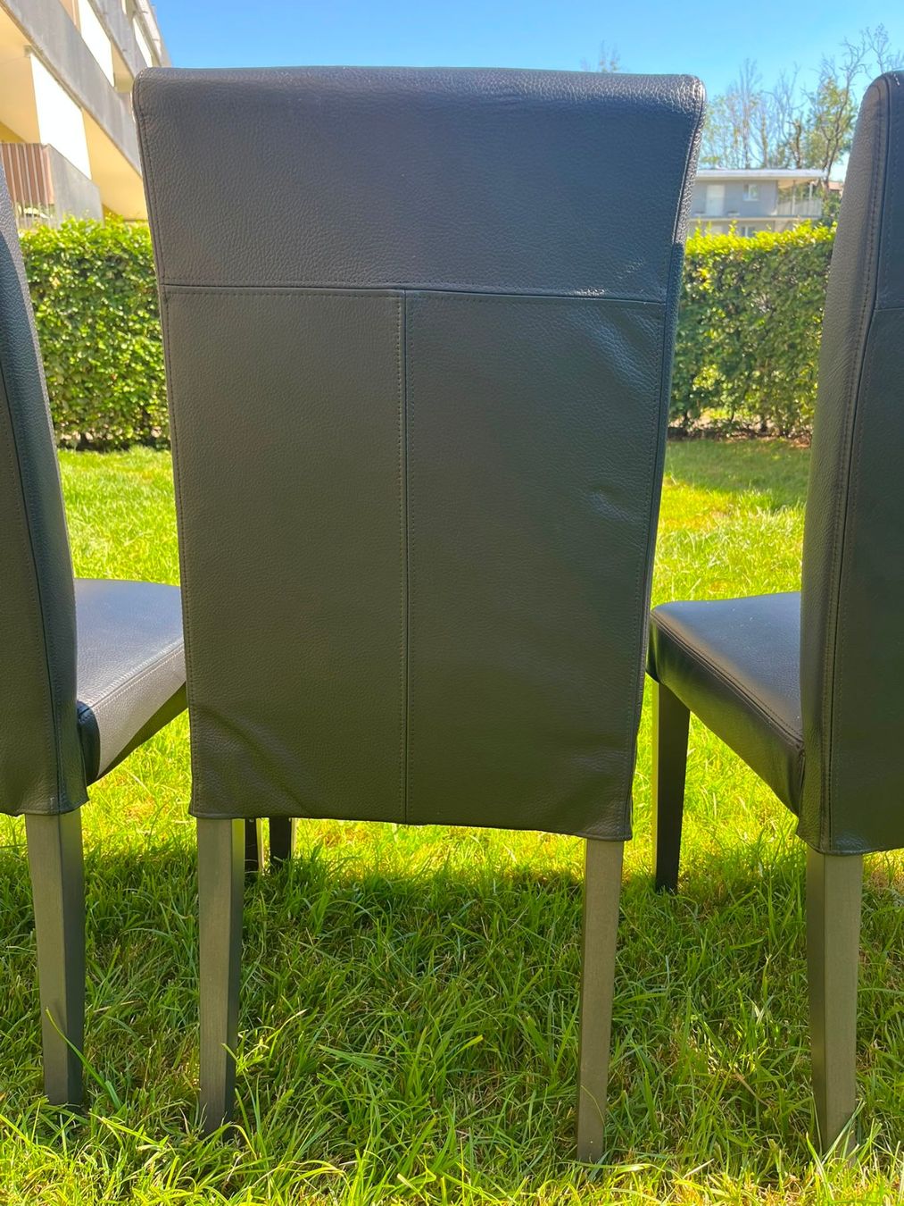 Ikea Sedie: 6x IKEA Henriksdal Stuhl echt Leder – Usato da Wil SG venduto da Klicks 6