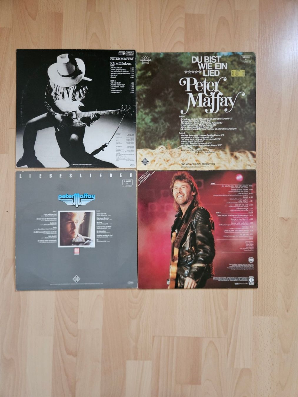Dischi in vinile: 14 div. Peter Maffay Schalplatten – Usato da Teufenthal AG venduto da boebe071 3