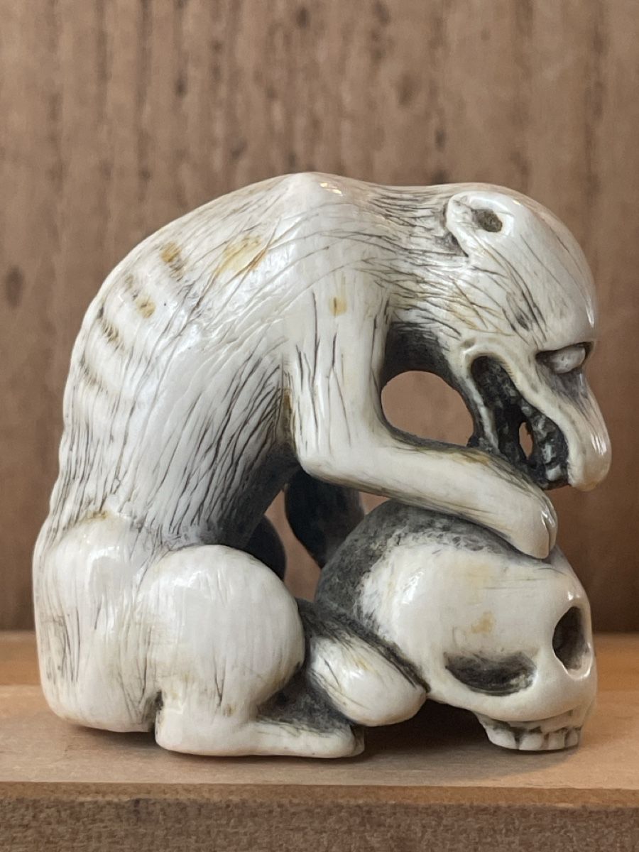 Statuette: Netsuke, sitzender Wolf oder Hund mit Schädel – Usato da Embrach venduto da Gauvain1 5