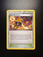 Pokemon Festa Notturna BKP 96