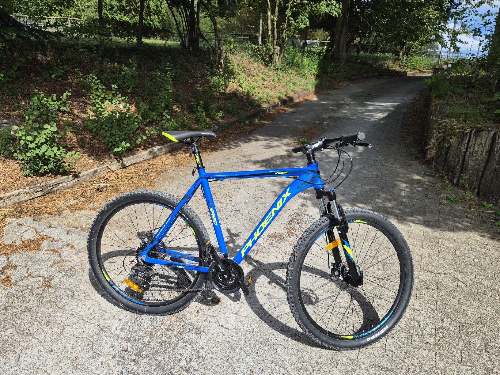 Phoenix Velos: Mountain Bike Phoenix 24 Speed – Gebraucht aus Schlattingen von mar_b2dm 6