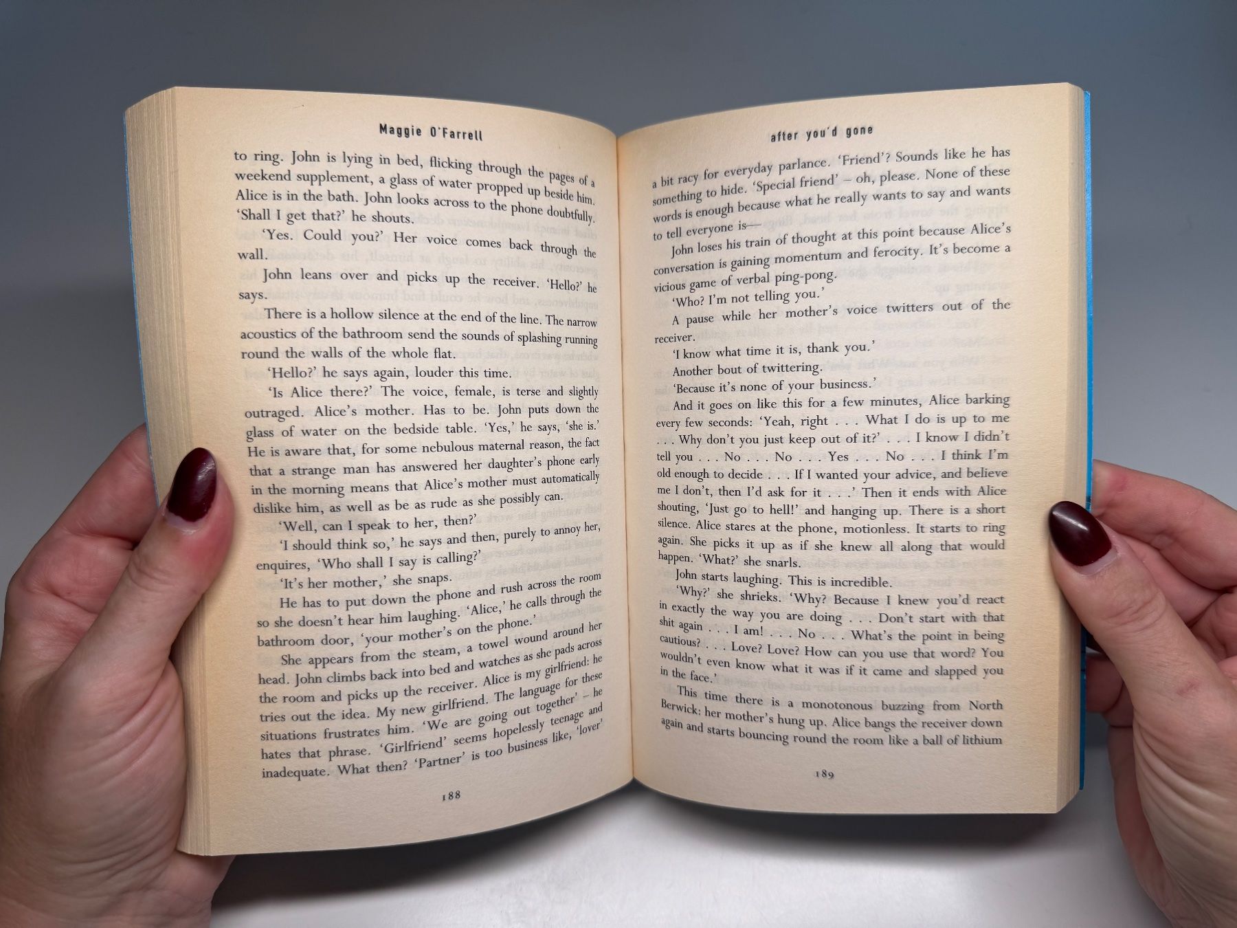 Libri: NOVEL: Maggi O'Farrell, After you'd gone – Usato da Grosswangen venduto da English_books 6
