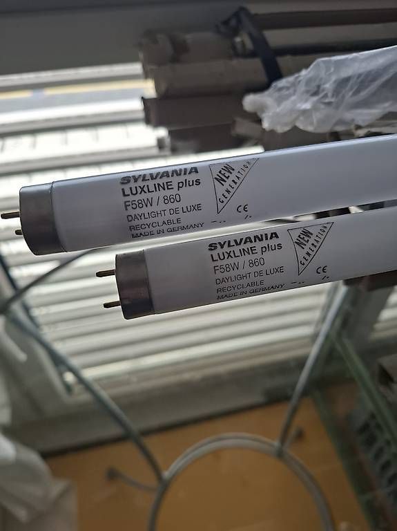 Lampen: FL-Röhre 58W/860 – Gebraucht aus Niederglatt ZH von adr_vc9s 1