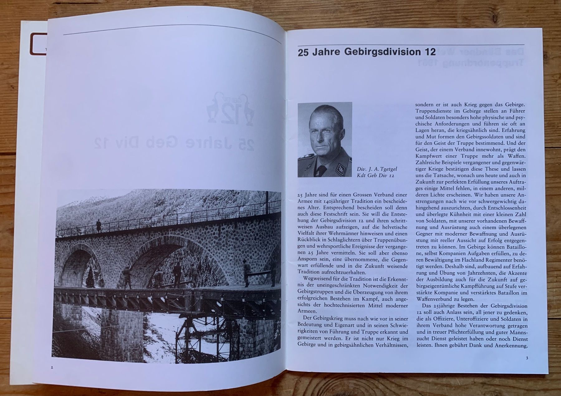 Libri: Büchlein 25 Jahre Geb Div 12 – Usato da Goldingen venduto da Bergler012 2