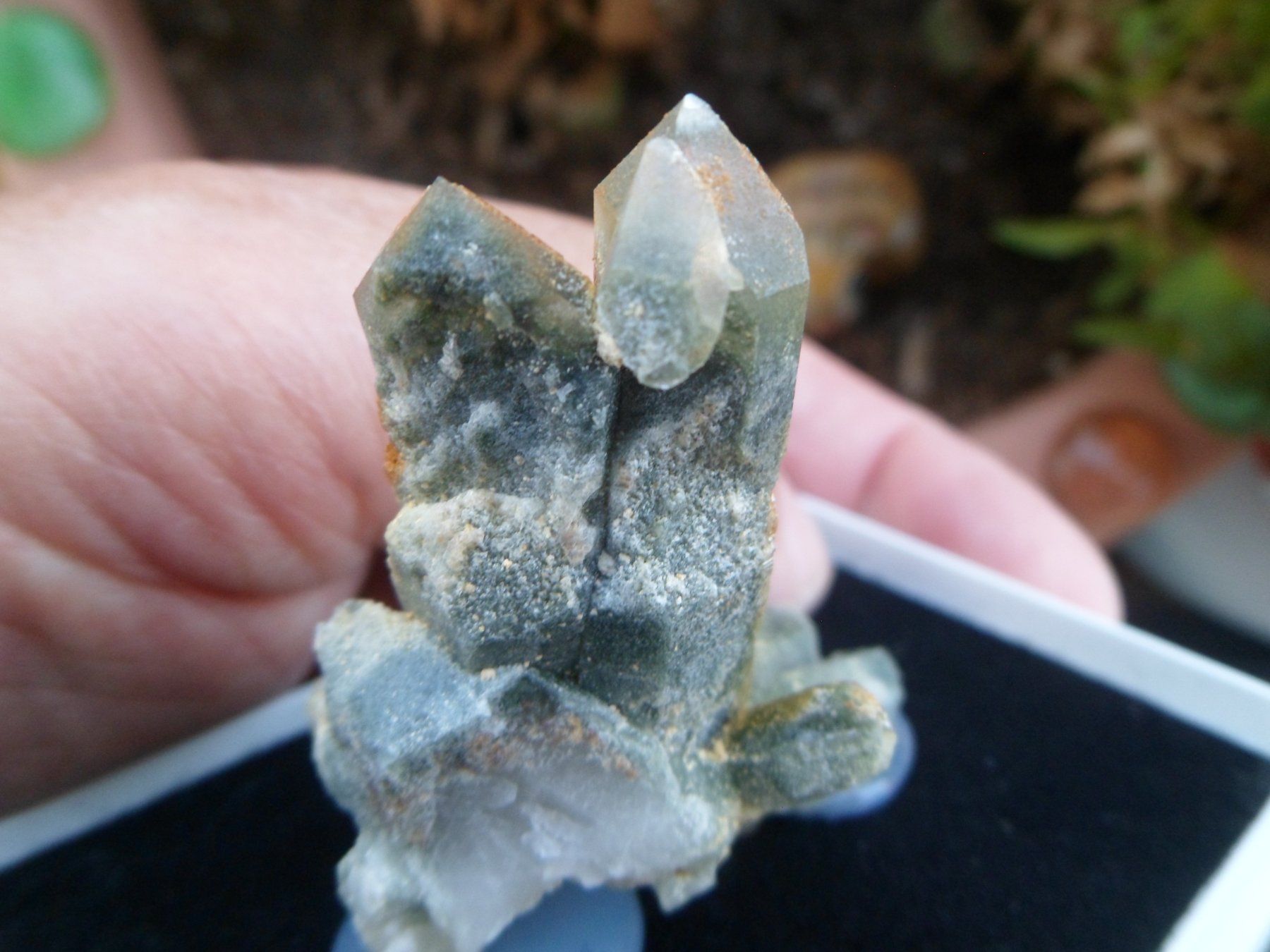 Minéraux & Lithothérapie: Bergkristall Schynschlucht – Neuf (Voir description) à Affoltern am Albis par Fossil60 6