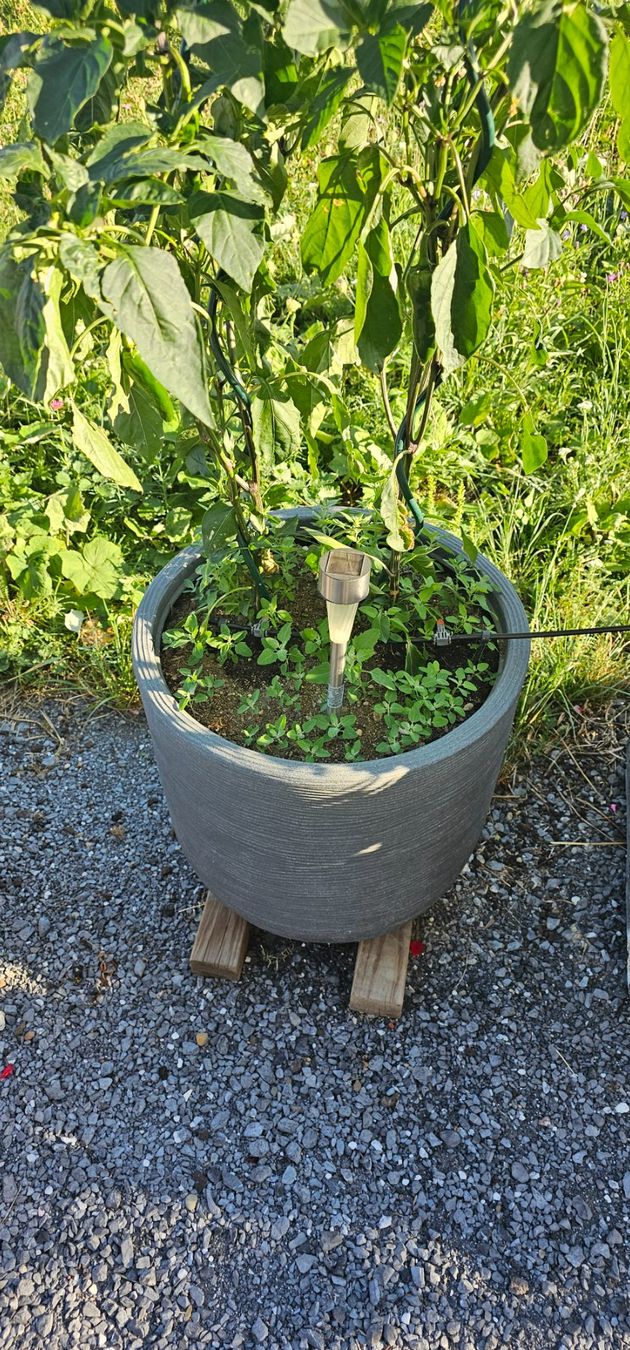 Blumentöpfe: Blumentopf – Gebraucht aus Wittenbach von fam_stu