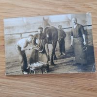 Carte Postale Duchene Mulhouse A.Albietz