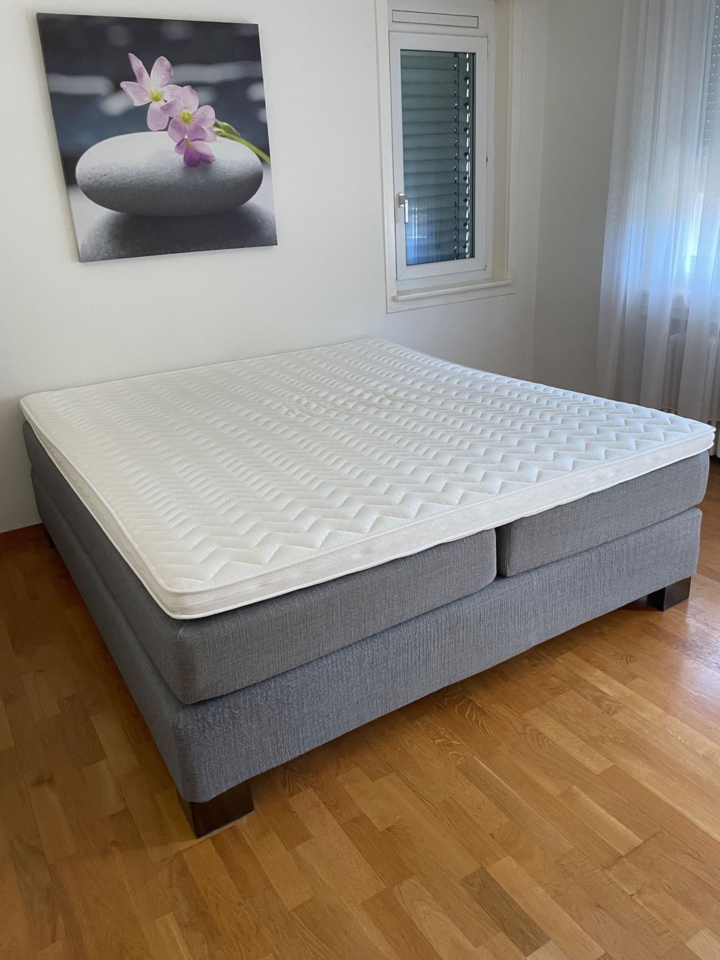 Jensen Letti: Boxspringbett 180cm x 200 cm – Usato da Uitikon Waldegg venduto da Schnugg3