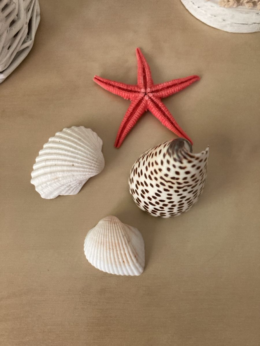 Tutte le decorazioni: Sommer-Deko-Set Meer – Usato da Selzach venduto da SB09 2