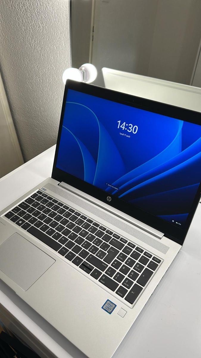 Hewlett Packard Notebook: HP ProBook 450 G6  – Nuovo (secondo la descrizione) da Bulle venduto da njo_6qn5 2