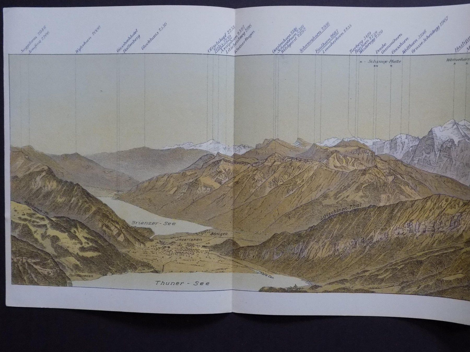 Incisioni: Panorama Niesen Berner Oberland – Usato da Risch venduto da Rischli15 1