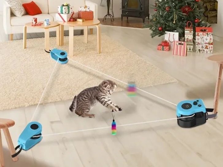 Giocattoli: Pet Cat Chasing Toy – Nuovo e nell'imballaggio originale da Lausanne venduto da oenix 1