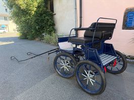 Pony- Kutsche / Marathonwagen für Fahrsport