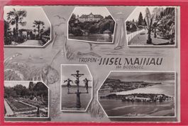 TROPEN-INSEL MAINAU IM BODENSEE, 25.8.1960