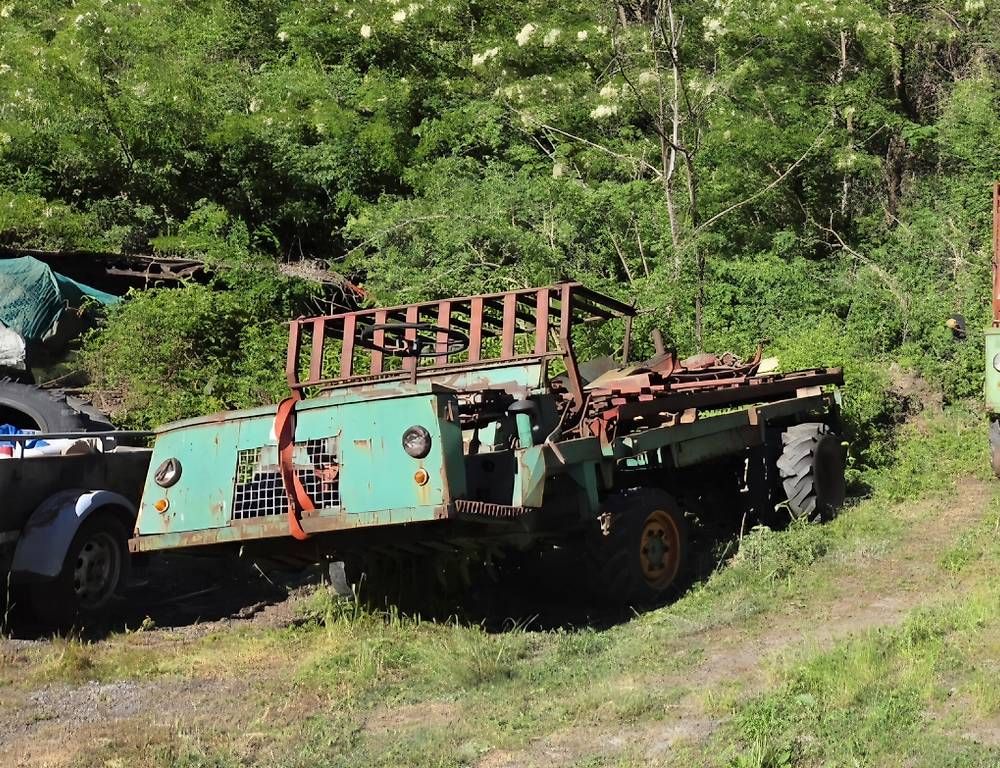Trattori:  Vendo Schilter lt1 – Usato da Biasca venduto da Capon68 1