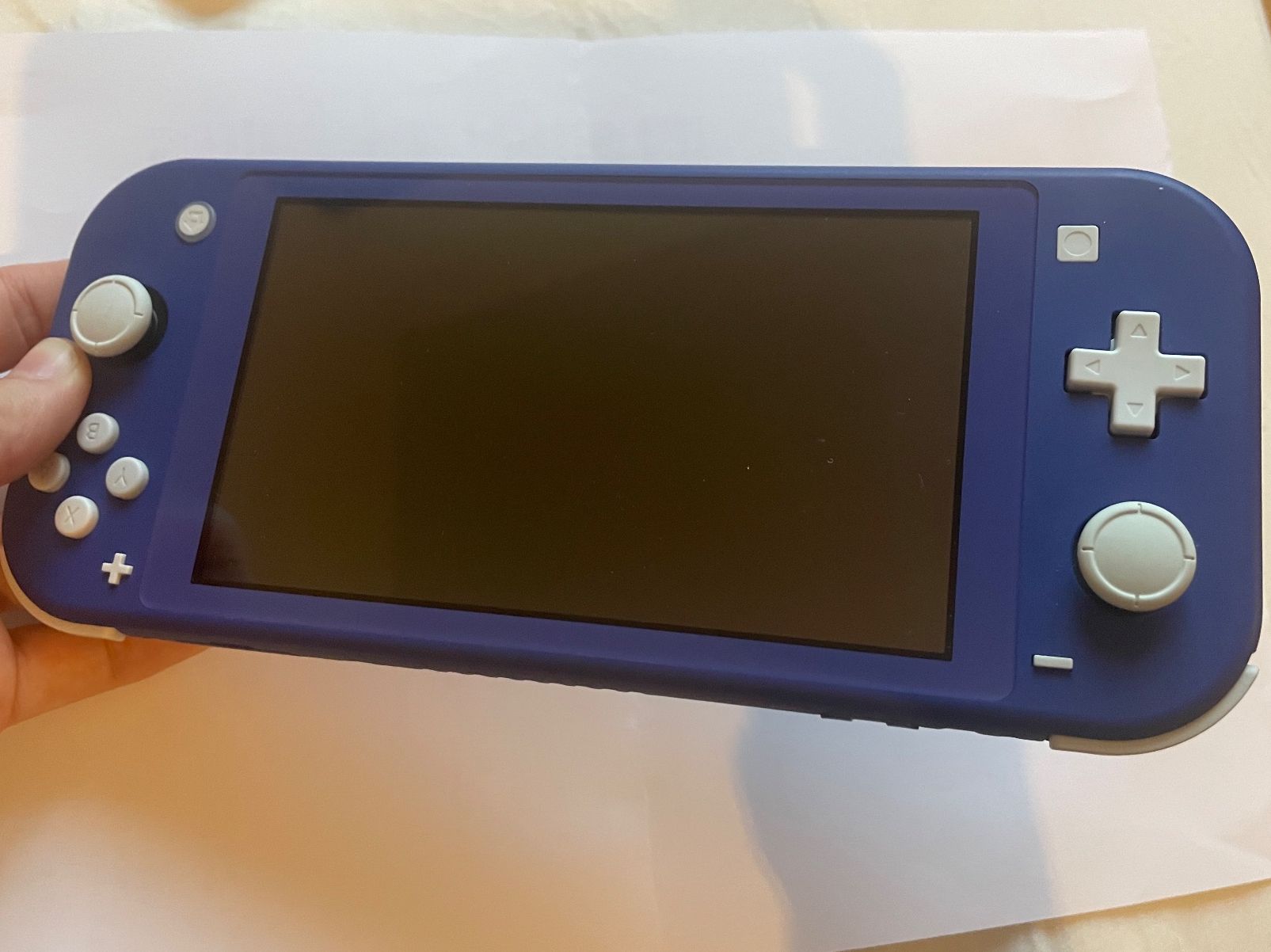 Nintendo Console: Ninteno Switch lite blau – Nuovo (secondo la descrizione) da Biel/Bienne venduto da lbo_db6h 1