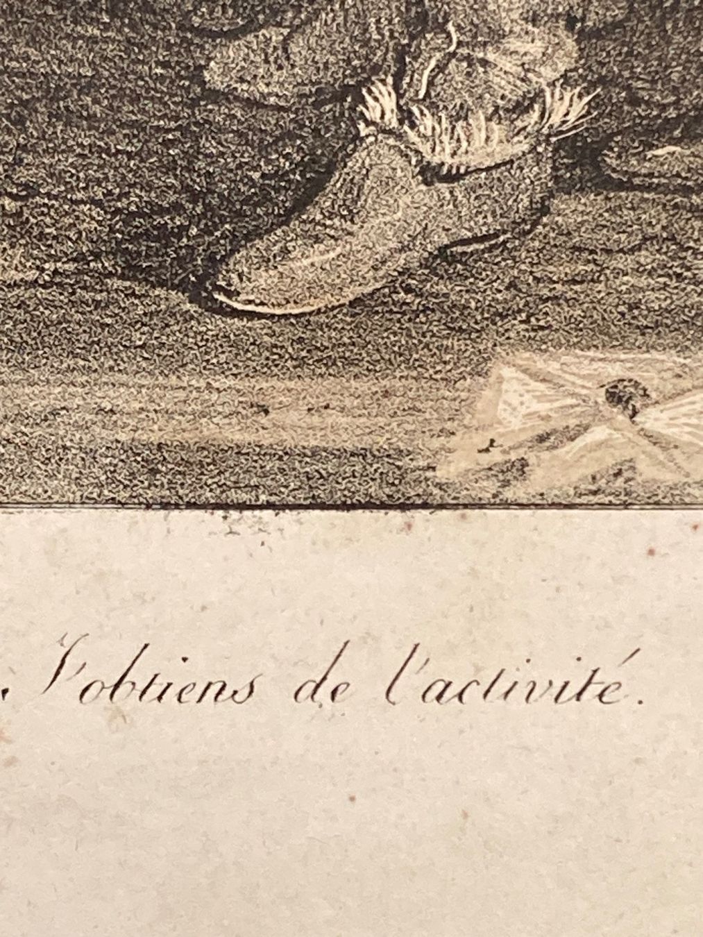 Poster & Bilder: Nicolas Touissant CHARLET 1792-1845 – Gebraucht aus Bern von Jwpm66 4