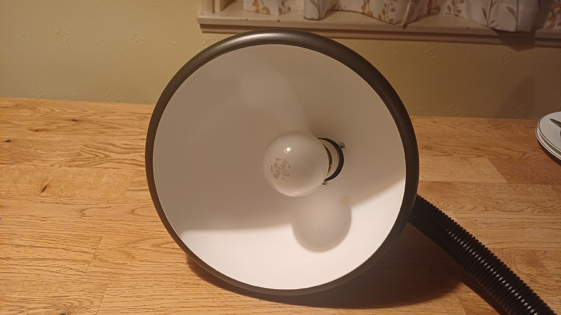 Lampade: Arbetsleuchte 70 er Jahre – Usato da Flawil venduto da Pinkmalibu 4