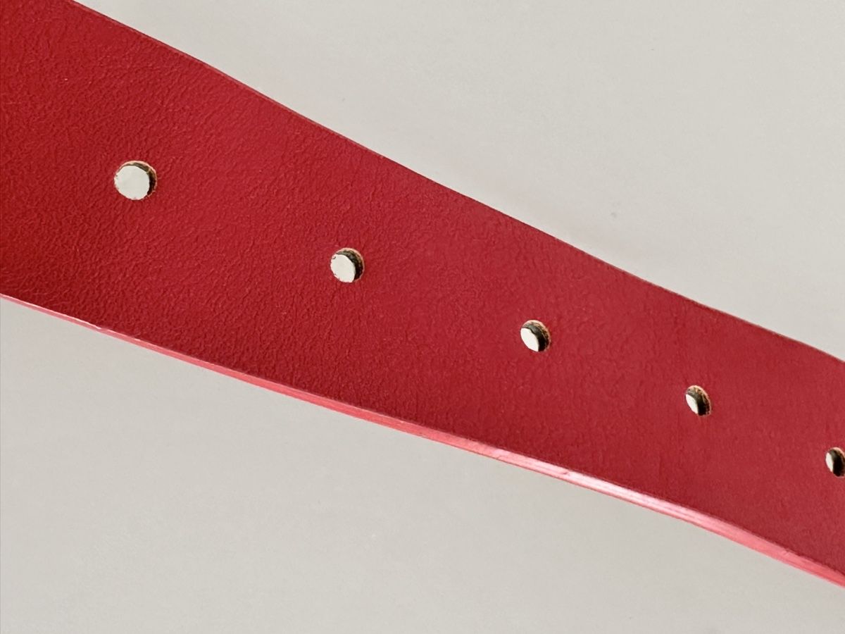 Steve Madden Borse: Steve Madden Gürteltasche in Rot – Usato da Bern venduto da Fraeuleinhonig 8