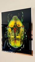 Visionnaire Coleottero Verde Kunstwerk Astolfi 60x80 cm