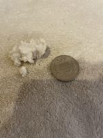 Seltenes Aragonit Mineral, Kristall - Sammlerstück!