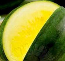 Piante & sementi: 5  stk SAMEN seltene Gelbe Wassermelone – Nuovo e nell'imballaggio originale da Rovio venduto da POSITIFFARTandPLANTS 7