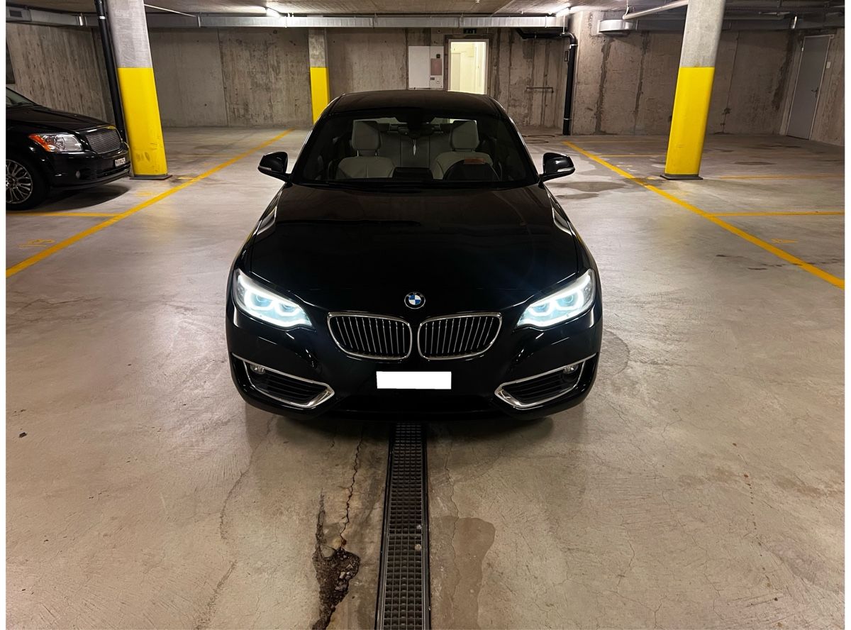 BMW Automobili: BMW 220i coupé Luxury Line – Usato da Winterthur venduto da Remysternle 1