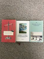 Russische Schriftsteller Set