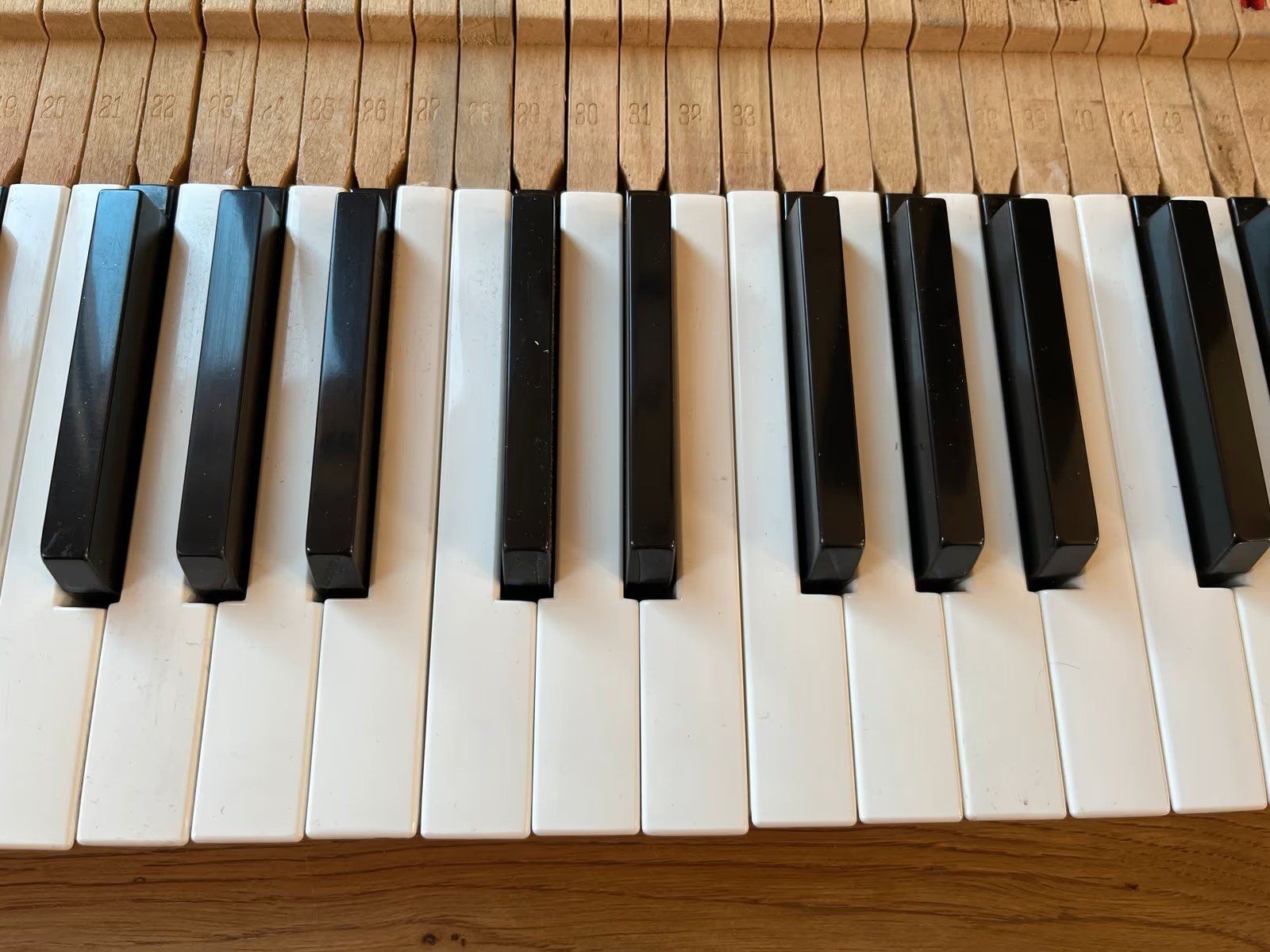 Rhodes Strumenti musicali: Fender Rhodes Mark 1 73 Keys, Tasten – Usato da Villigen venduto da chriwo 4