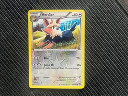 Pokemon Herdier Reverse Holo XY Base Near Mint