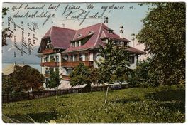 Ansichtskarte  Hilterfingen,  Hotel Wildbolz