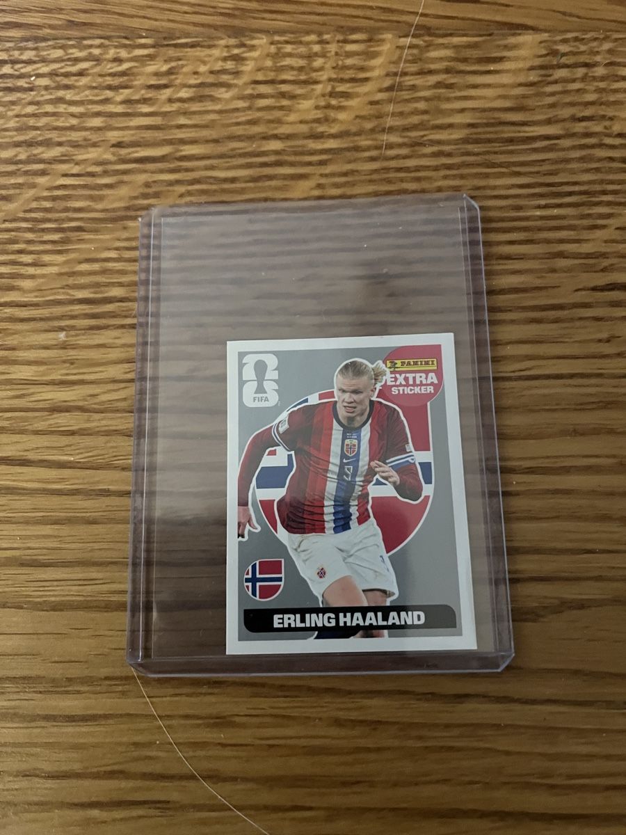 Panini Carte collezionabili: Panini Extra Sticker Silber Erling Haaland – Nuovo (secondo la descrizione) da Wettswil venduto da Dast77