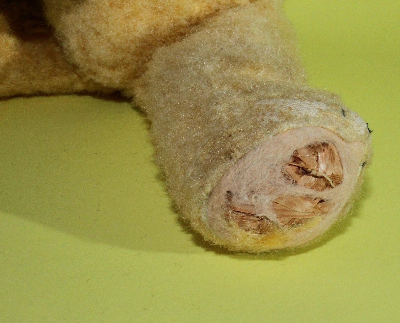 Bambole: ZWEI ALTE , STARK BESPIELTEN TEDDYBÄREN. – Usato da Grandcour venduto da Flowerstyle 7
