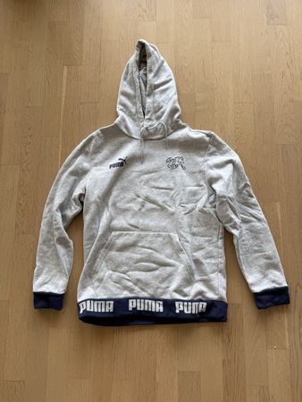 Puma Hoodie SFV Schweizer Nationalmannschaft Grösse M guter 
