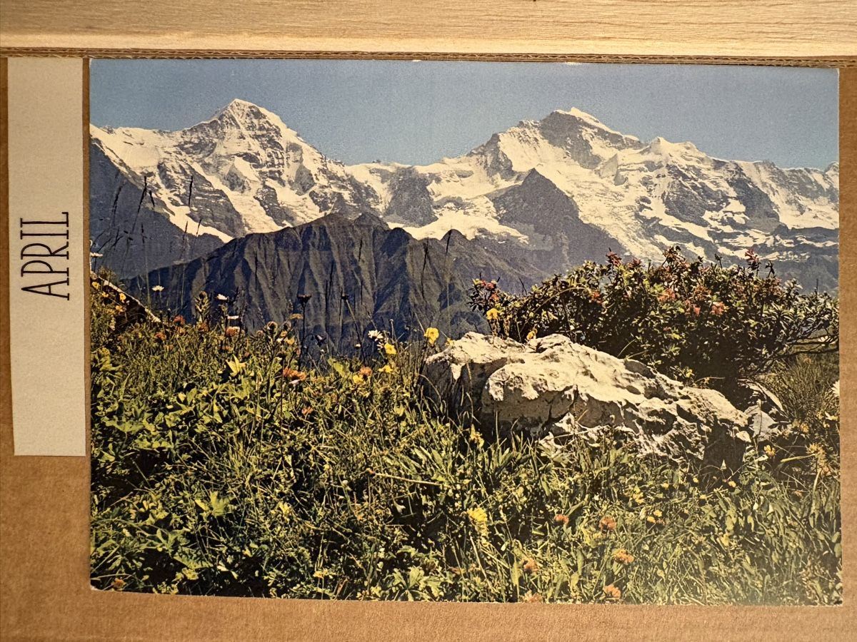 Cartoline postali: Ak von Schynige Platte – Usato da Rümlang venduto da Kartenpost1
