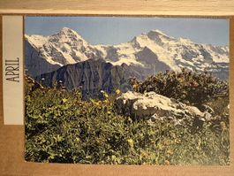 Ak von Schynige Platte