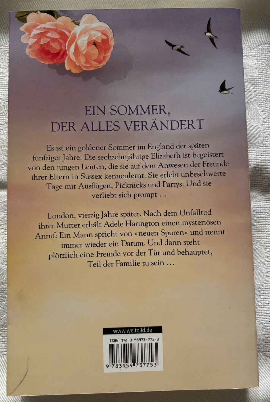 Libri: Zeit der Schwalben - Nikola Scott – Usato da Interlaken venduto da Poeschtli 1