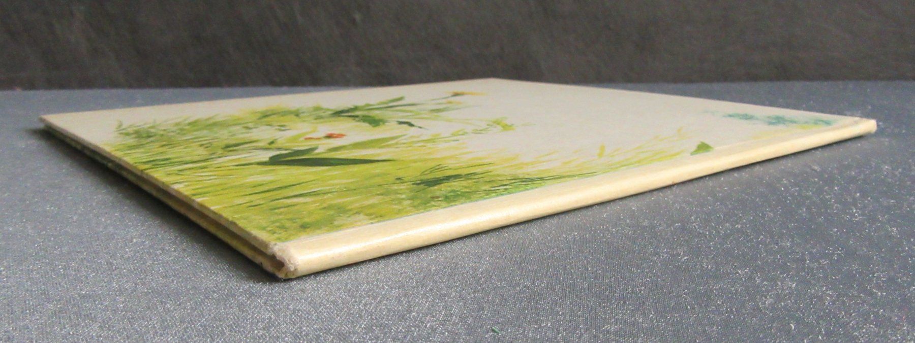 Libri: Die erste Jagd - Hundegeschichte – Usato da Auenstein venduto da Padabimbim 5
