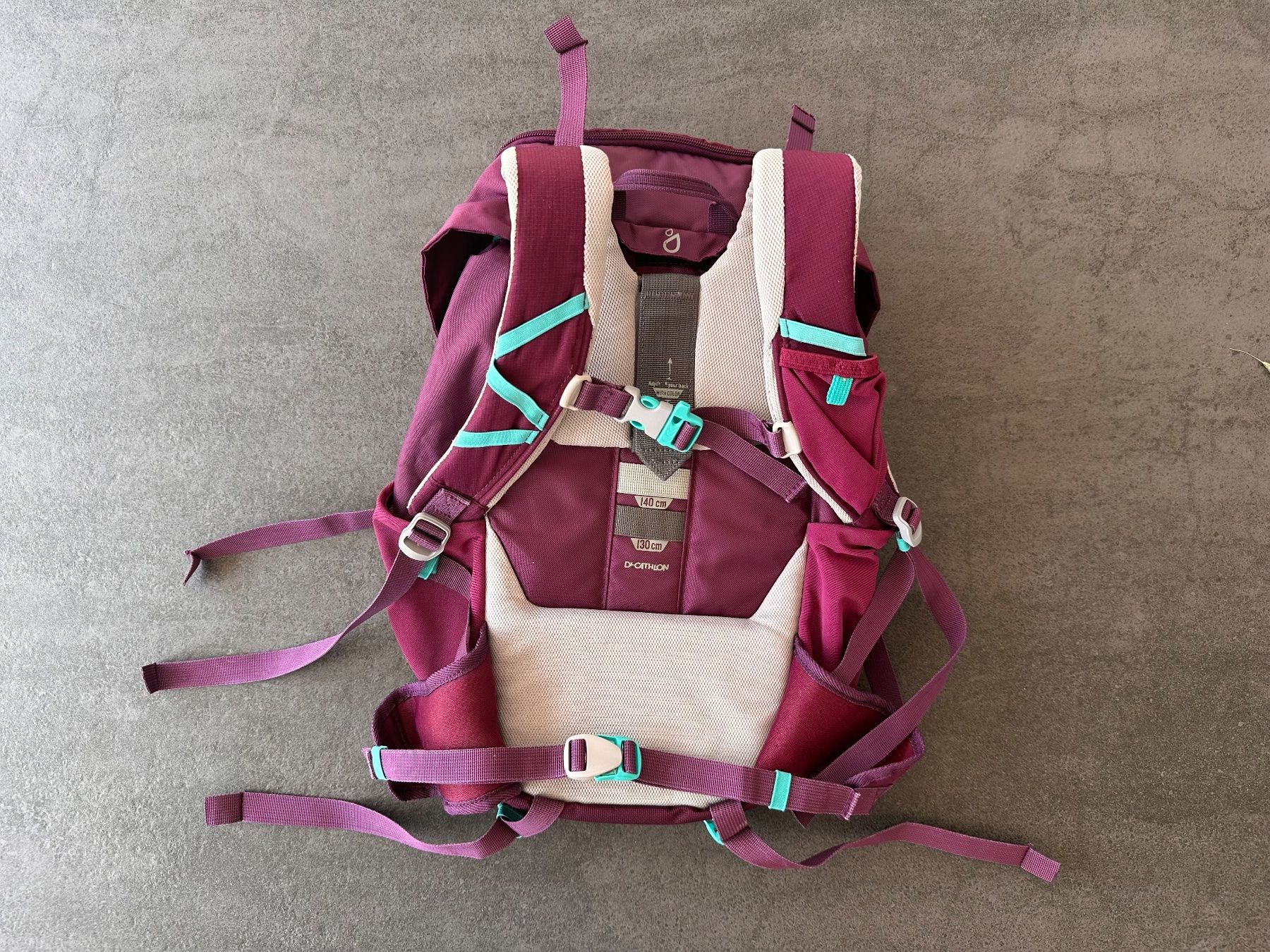 Decathlon Borse & Zaini: QUECHUA Wanderrucksack – Usato da Arboldswil venduto da schlulu 3