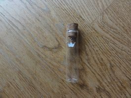 Glas für Gutscheine