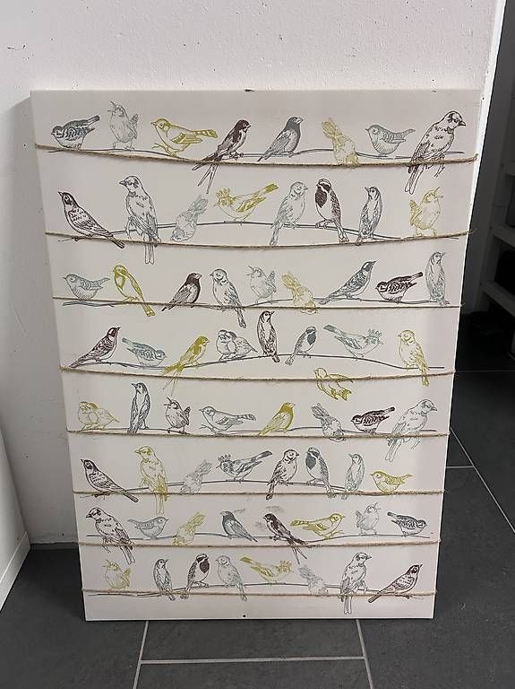 Foto & Immagini: Bild Vögel – Usato da Tafers venduto da genilloud8