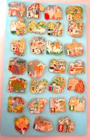 Lot Pin Simone Erni1993 Kantone Komplett