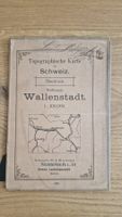 Antike Karte Wallenstadt 1898