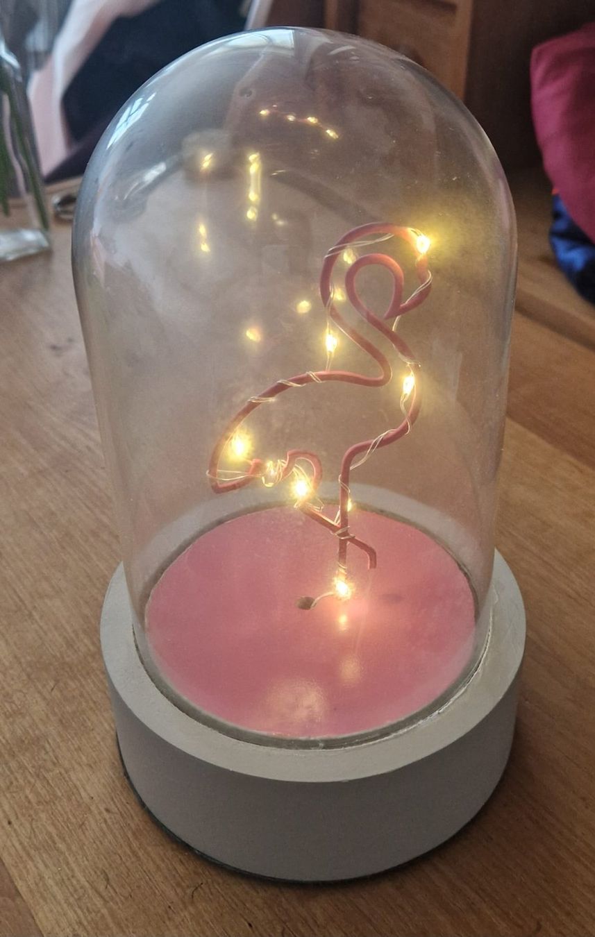 Tutte le decorazioni: Flamingo im Glas beläuchtet – Usato da Frauenfeld venduto da jgh_gx6v 1