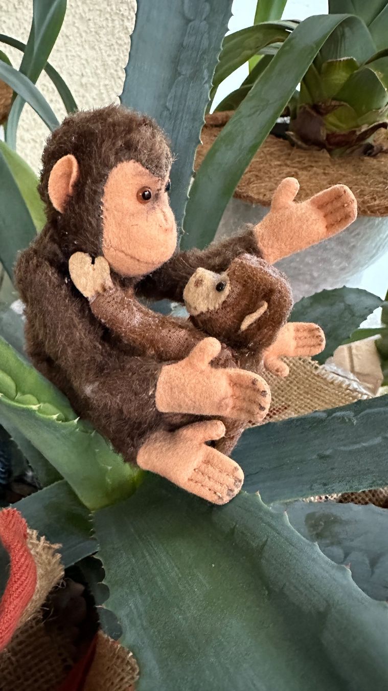 Steiff Giocattoli: 2 Äffchen Steiff Affe ca. 12 und 18 cm – Usato da Zürich venduto da brazerola 1