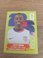 Panini Sticker 2026 USA 12