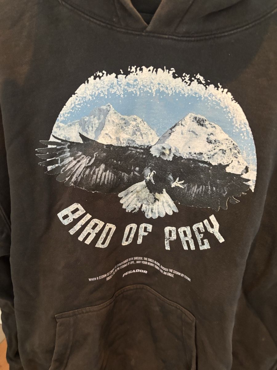 Pegador Pullover & Sweatshirts: Pegador Hoodie – Gebraucht aus Rorschach von Mazzriki 2