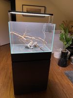 Aquarium 90 lt.🐠